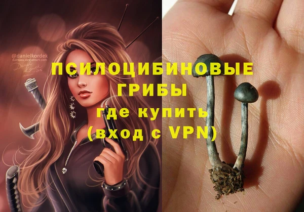 экстази Алексин