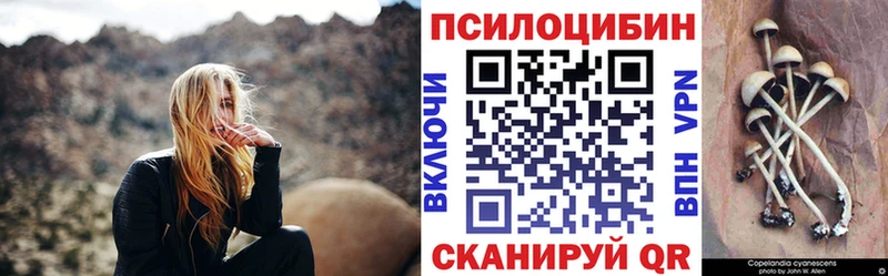 Псилоцибиновые грибы Cubensis  что такое наркотик  Усть-Илимск 